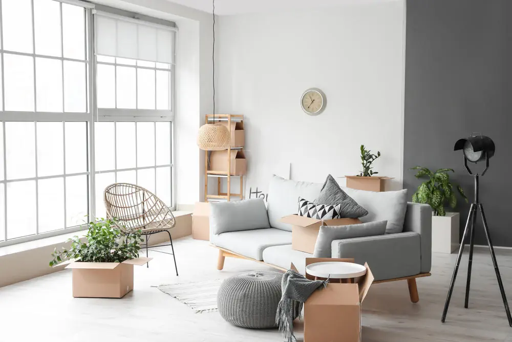 Ankunft und erste Schritte im neuen Zuhause Ankunft und erste Schritte im neuen Zuhause