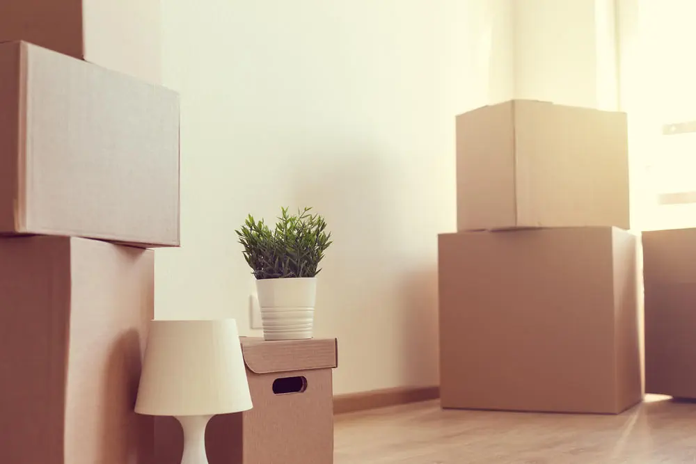 Packen wie ein Profi So wird Ihr Umzug ordentlich und effizient Packen wie ein Profi So wird Ihr Umzug ordentlich und effizient